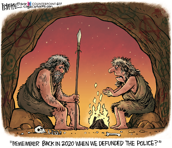 06092020 cartoon 1.png